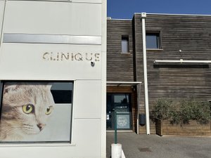 Carcasona. Tras mucho tiempo de espera, se inaugura una casa