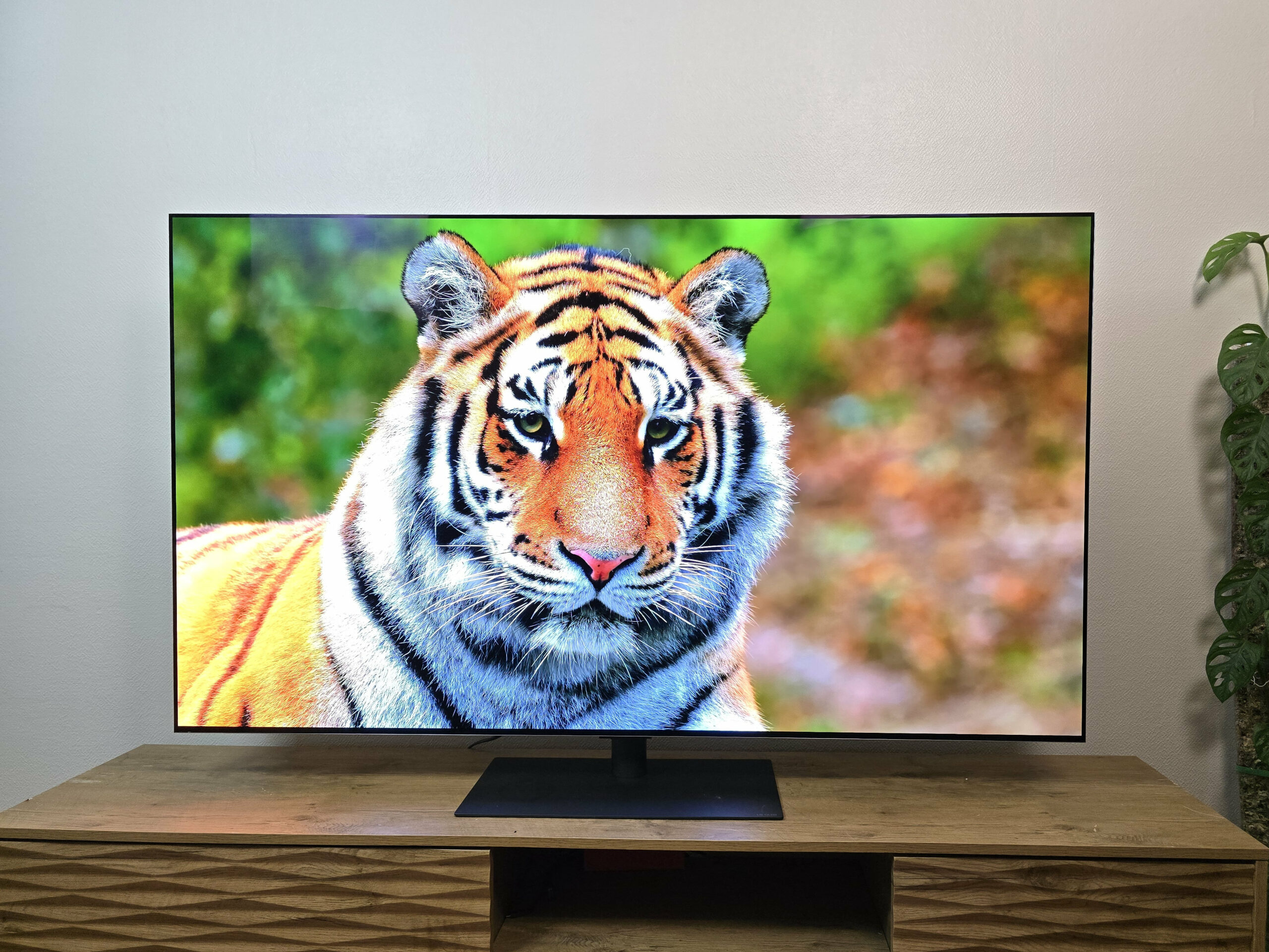 Cómo eliminar la publicidad en dos clics en WebOS para