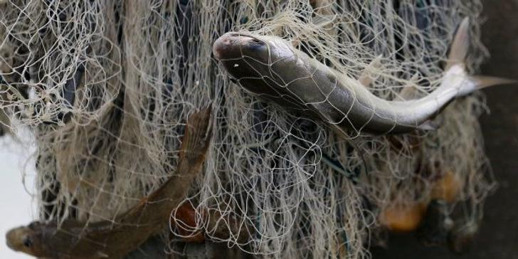 Con su descubrimiento, este pescador ha permitido resolver un caso