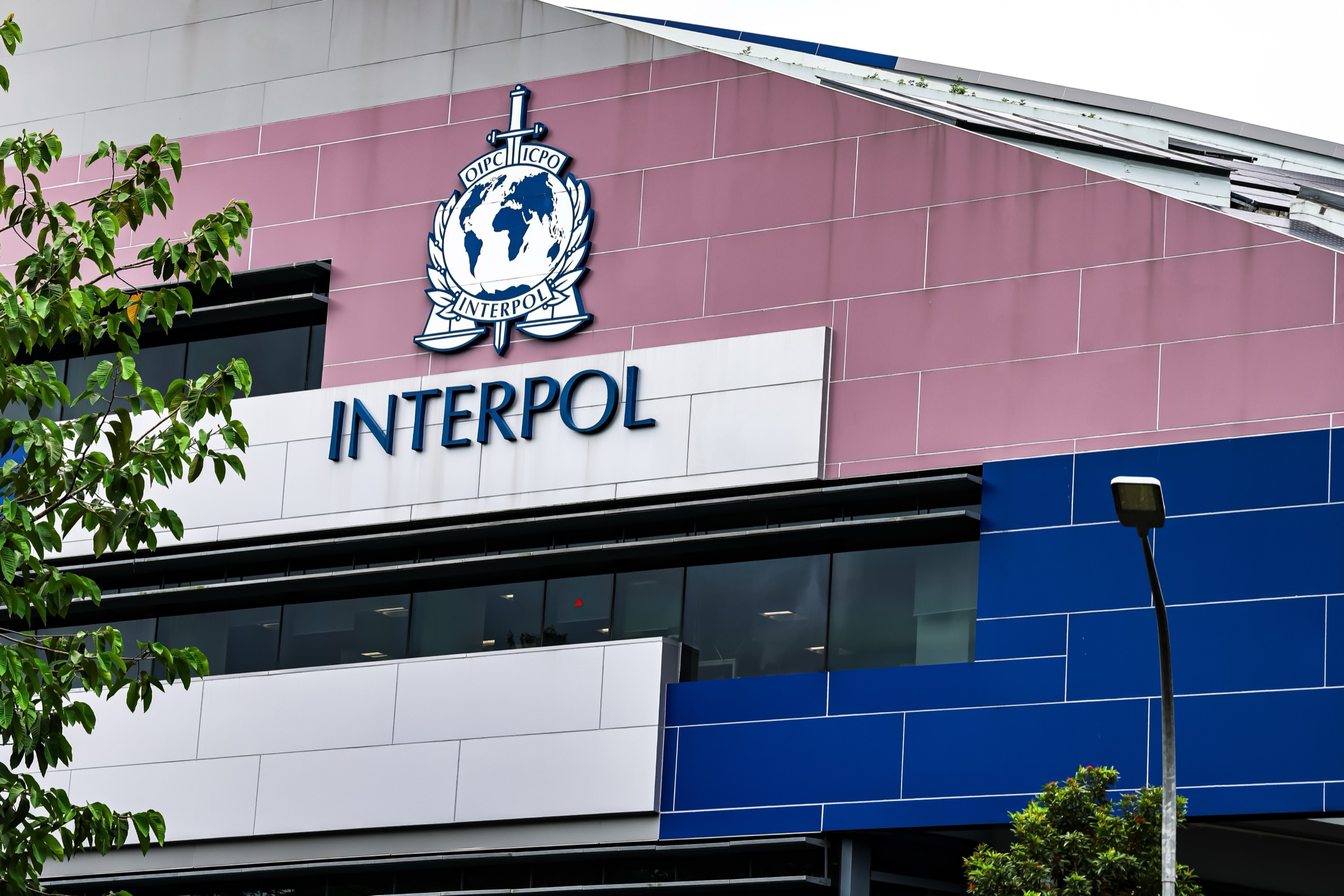 Cripto, estafas, falsificaciones: lo que revela la megaoperación de Interpol