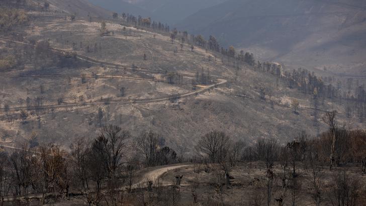 El "terrible episodio" de los incendios llega a su fin