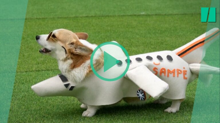 Este concurso de corgis organizado en Lituania te hará enamorarte.