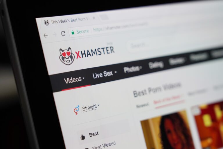 Estos cinco sitios porno finalmente se rinden ante la verificación