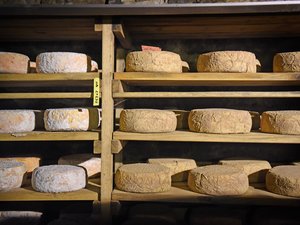 La Romieu. Una escapada al país del queso.