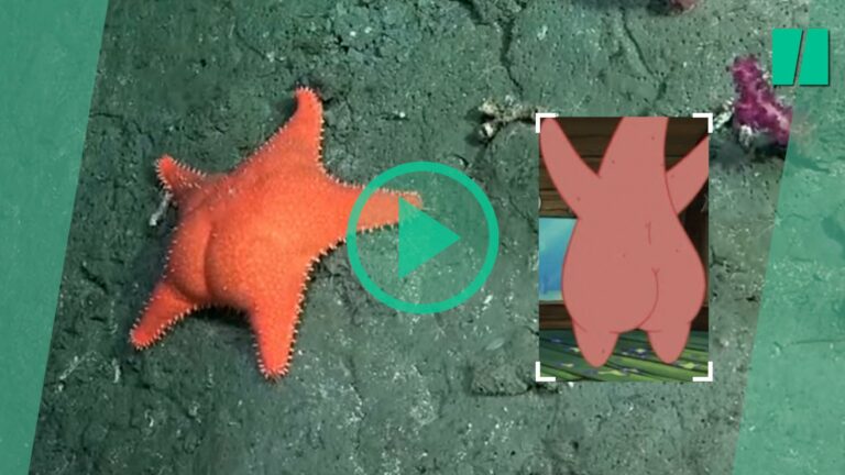 Las exploraciones de este robot submarino fascinan a los argentinos