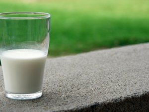 "Se asemeja a leche cortada", lotes de leche semidesnatada de