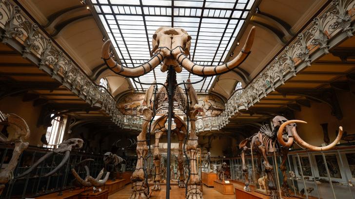 Una ciberataque "masivo" golpea a este gran museo desde hace