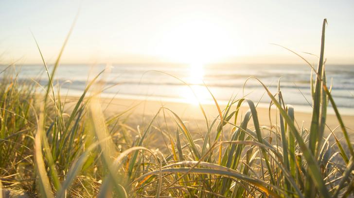 Días de verano bajo el sol