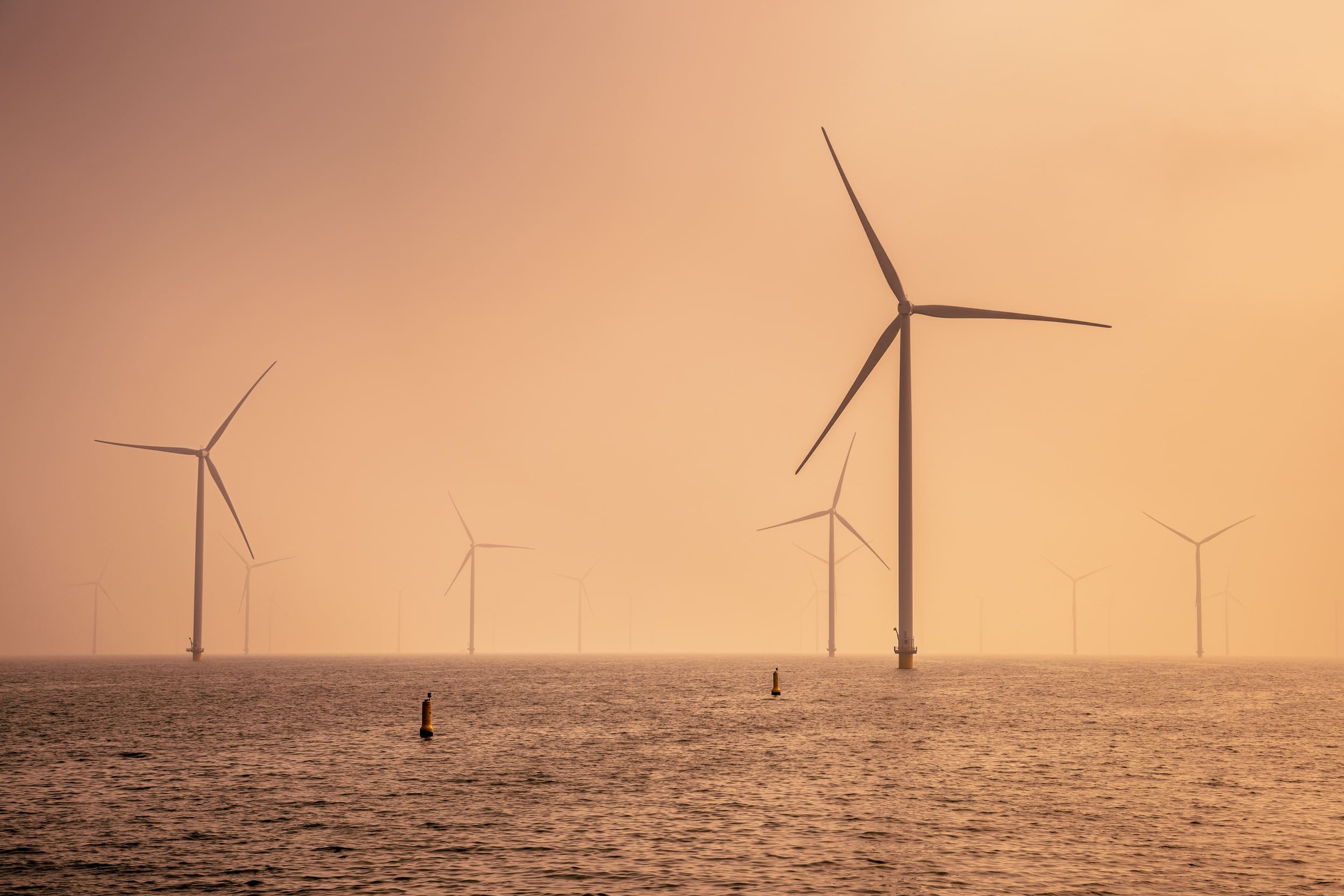TotalEnergies lanza su megaprojecto eólico, ¡el más grande jamás construido