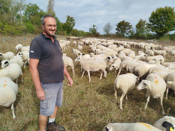 "Alimento a mis animales gratuitamente ayudando a la gente": en