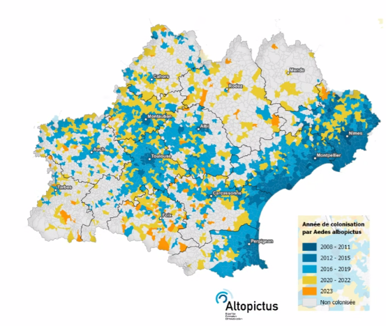 Chikungunya: tras el centenar de casos registrados en el Sudeste,