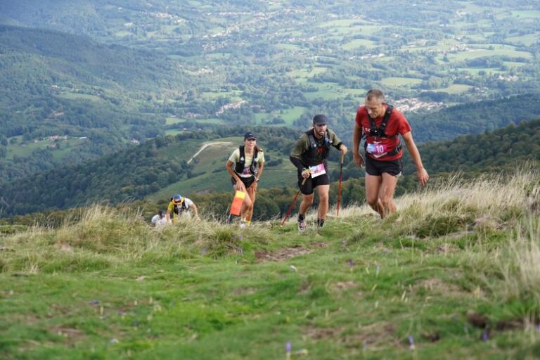 "Desde siete picaduras", una veintena de corredores víctimas de un