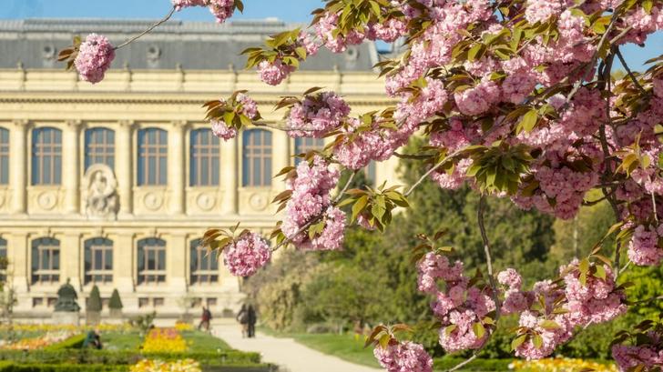 Le Jardin des Plantes et la Grande Galerie du Muséum national d’histoire naturelle, à Paris.