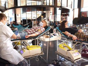 Gran recogida de sangre - ladepeche.fr