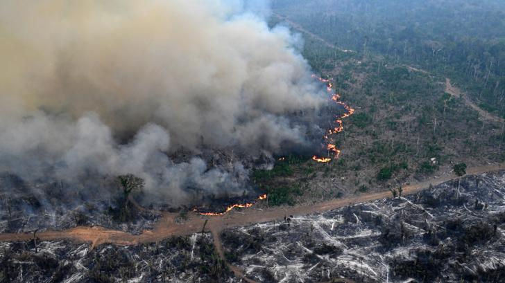La selva amazónica ha perdido en 40 años lo equivalente