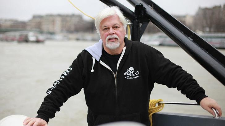 Paul Watson no obtuvo asilo en Francia, aunque estaba "confiado".
