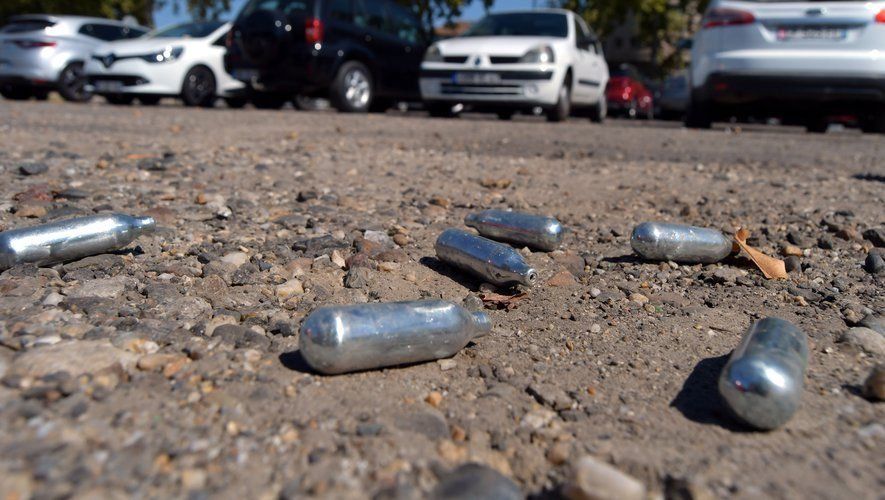 "Se les ruega recoger sus porquerías": tras el hallazgo de
