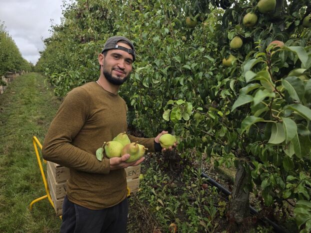 «Si no hacemos nada, no habrá más huertos»: la manzana