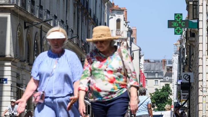 Sin el cambio climático, se podrían haber evitado al menos