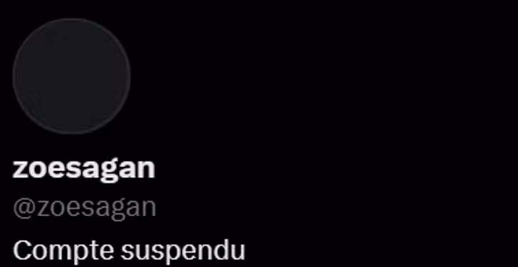 Una página X introuvable, c’est tout ce qu’il reste du compte de Zoé Sagan, suspendu après de nombreuses plaintes déposées contre son auteur Aurélien Poirson-Atlan.