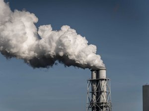 Cambio climático: 2,5 millones de muertes al año relacionadas con