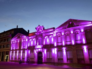 Carcassonne: iluminación de edificios públicos en rosa y actividades para