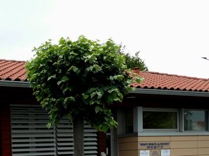 Casa de salud de Castelnau-Magnoac: un médico solidario ofrecerá consultas