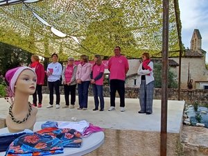 Castelnau-de-Lévis: detección y solidaridad en una mañana comprometida