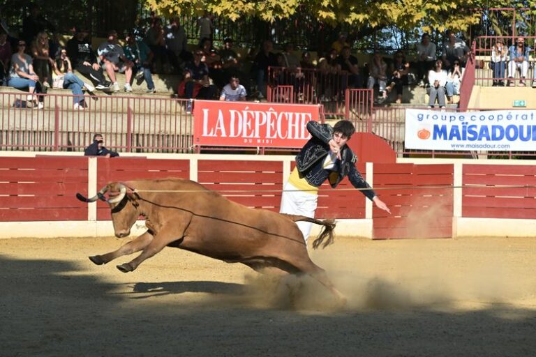 Curso landés: las plazas de toros gasconas en silencio hasta