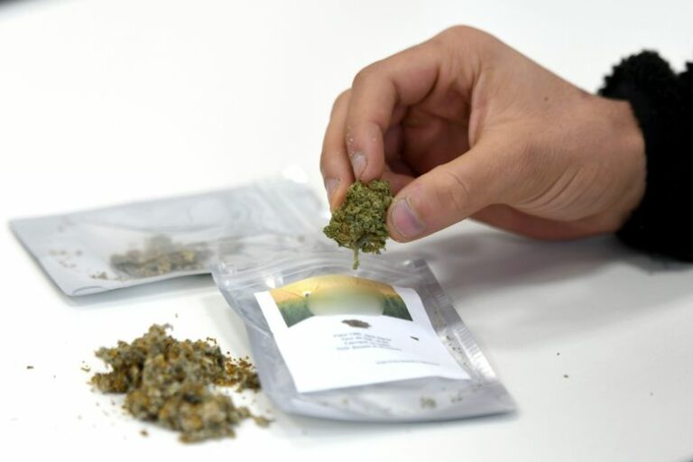 Gerente de una tienda de CBD, empleaba a su madre