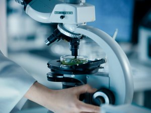 Inmunoterapia: una nueva estrategia para ayudar al sistema inmunitario a