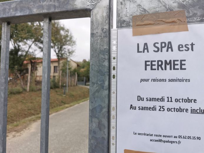 « Limpiar a fondo »: la SPA de Gers suspende