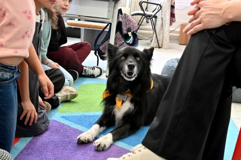 Nieve, el perro que va a la escuela y transforma