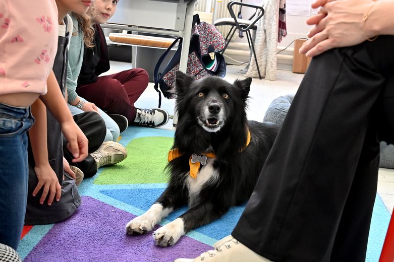Nieve, el perro que va a la escuela y transforma