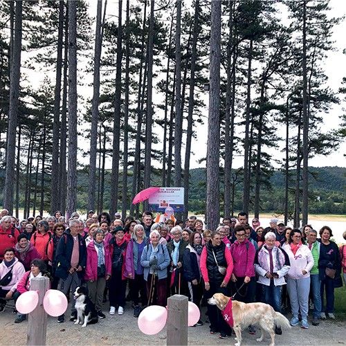 Octubre rosa: Una marcha solidaria en el lago de Saint-Ferréol.