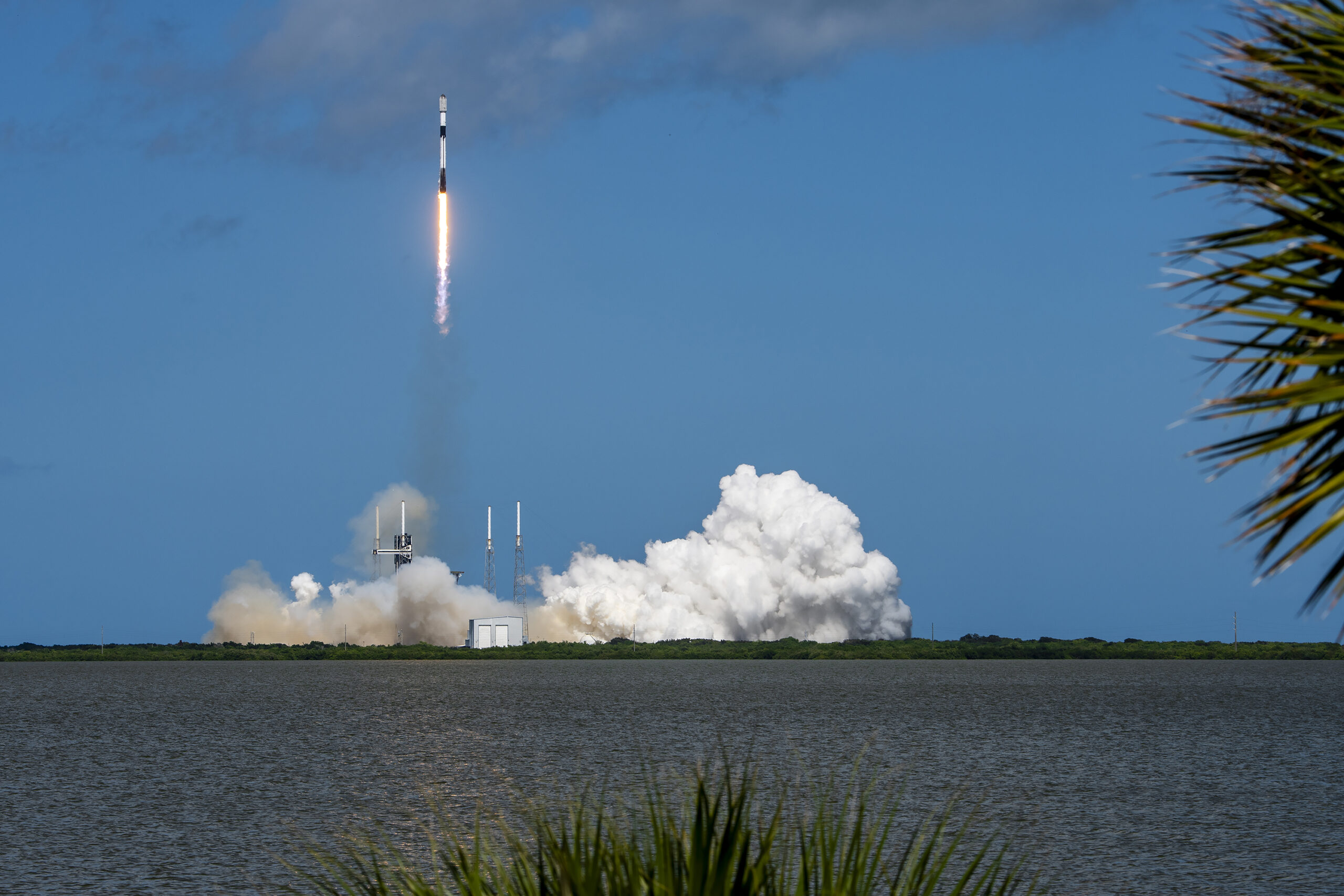 SpaceX en modo rey: Starlink alcanzó un número récord de