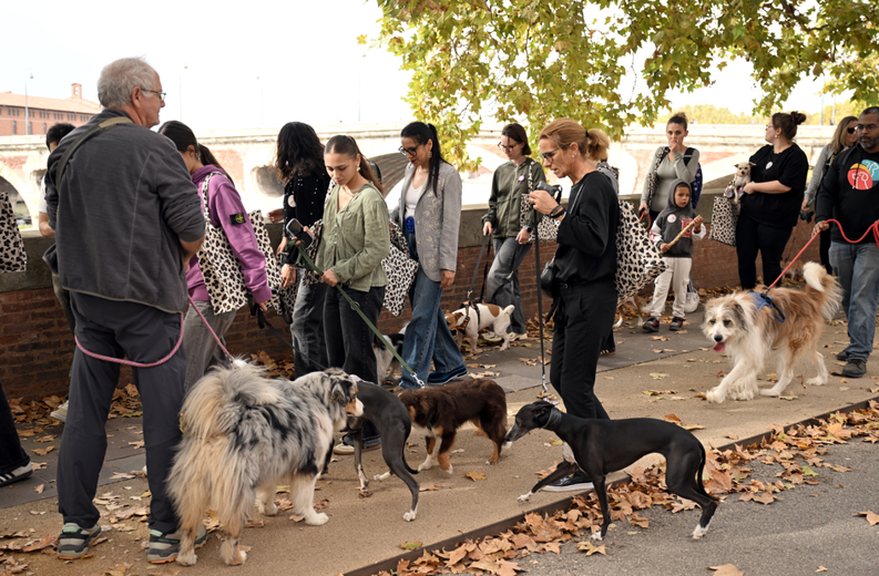 Los perros disfrutando del paseo junto a las aguas del Garonne.