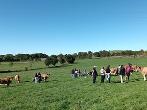 Veterinarios en formación en tierras desconocidas en el Aubrac