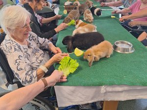 Villefranche-de-Rouergue. Mediación animal: seis años de éxito en la residencia