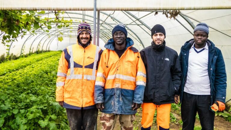 "Me gusta trabajar aquí": con su jardín orgánico, cómo Emmaüs