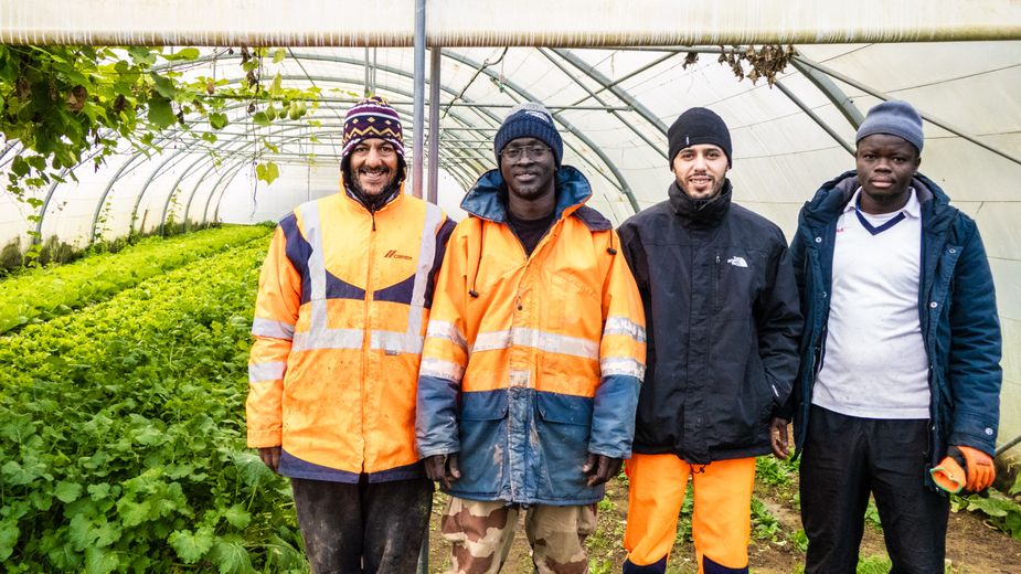 "Me gusta trabajar aquí": con su jardín orgánico, cómo Emmaüs