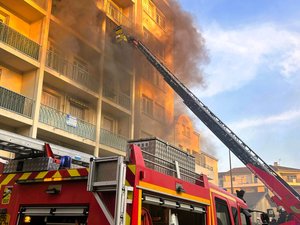 “Pueden tener consecuencias dramáticas”: una serie de incendios moviliza a