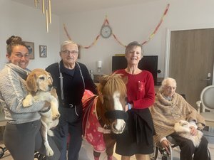 Un pony, un conejo angora y un beagle rompen el
