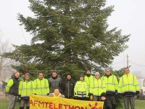 15 metros, 8 toneladas: un árbol gigante para un Téléthon
