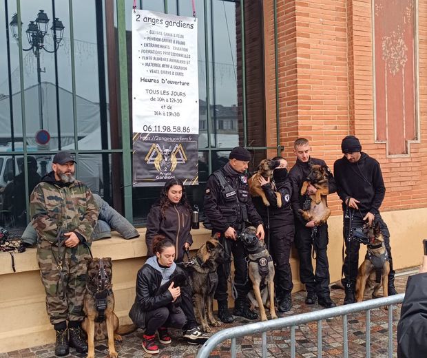 Gran éxito de los perros de defensa