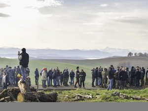 DIRECTO. Dermatose nodulaire: varios rebaños sacrificados, los agricultores siguen movilizados