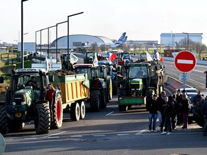 Dermatosis nodular: "No nos han escuchado"... los agricultores listos para