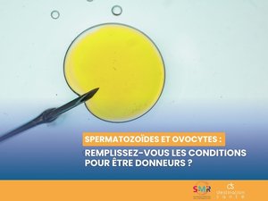 Don de óvulos o de espermatozoides: ¿cuáles son las condiciones