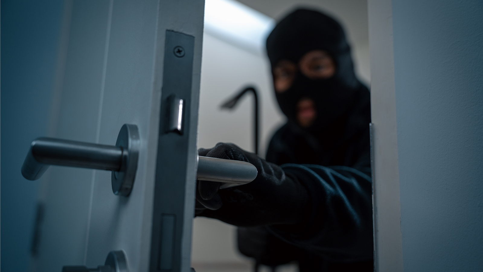 El experto en seguridad te ofrece una cámara para proteger