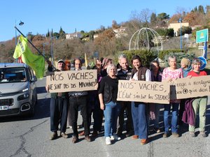 En Quillan, los criadores denuncian "un sacrificio inadmisible y ridículo"